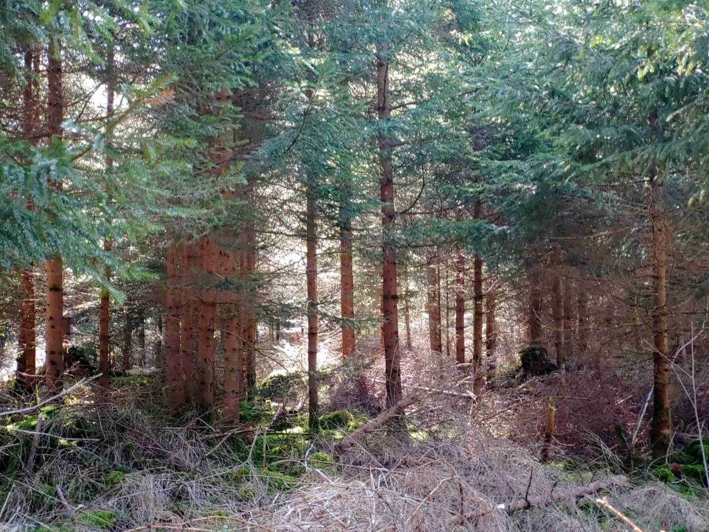 20240309_121301_HDR (1)