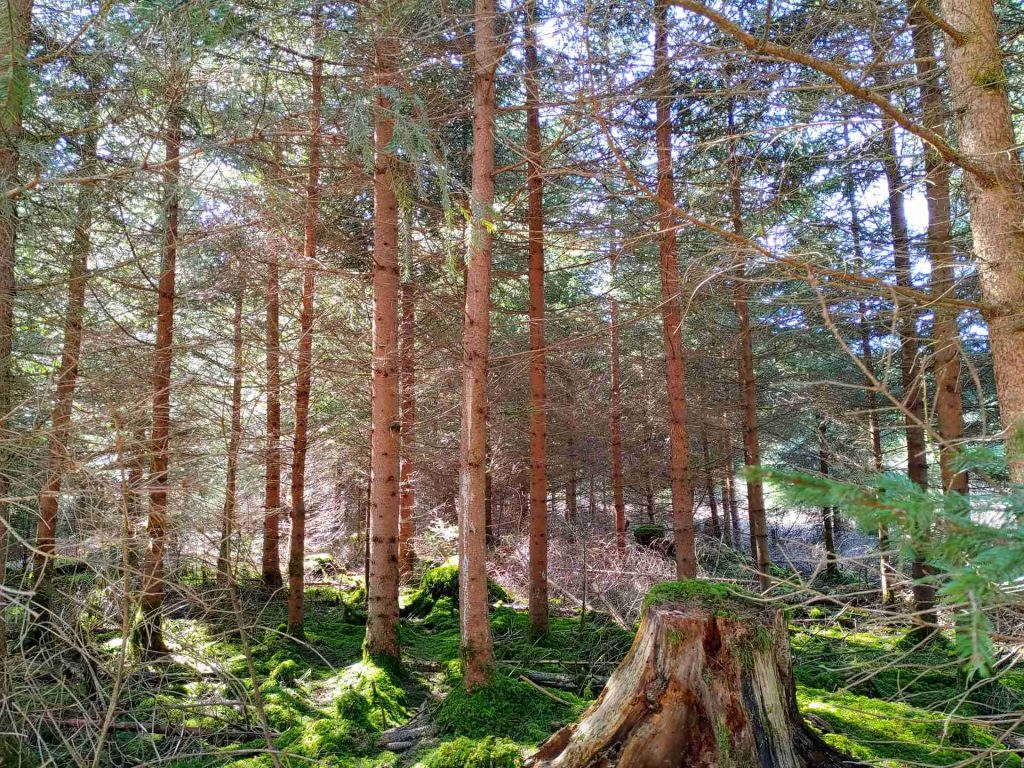 20240309_121407_HDR (1)