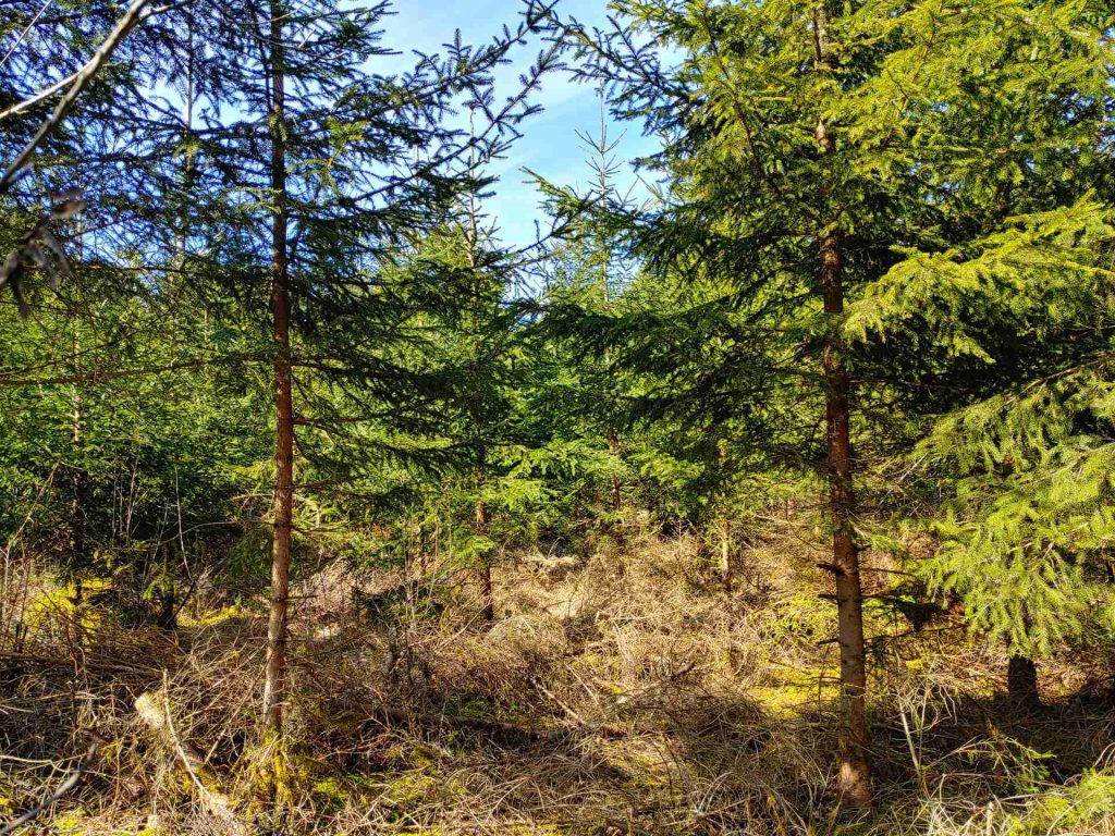 20240309_121928_HDR (1)