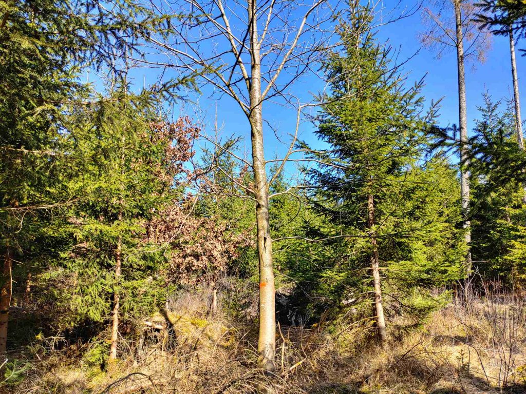 20240309_122021_HDR (1)