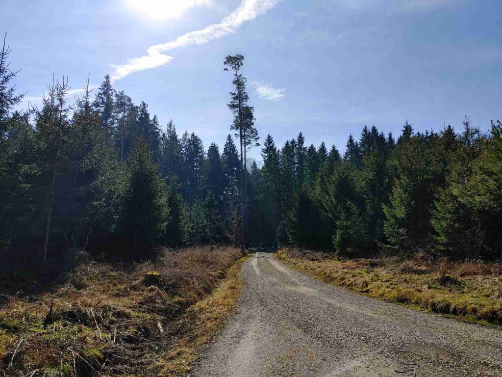 20240309_124431_HDR (1)