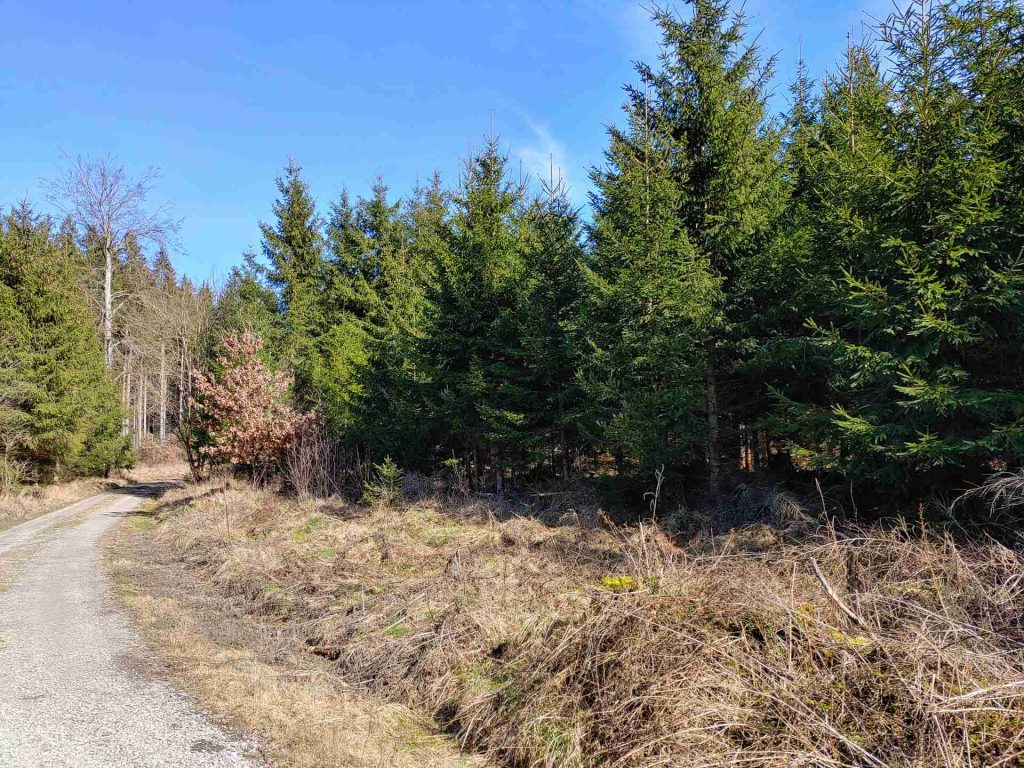 20240309_124448_HDR (1)