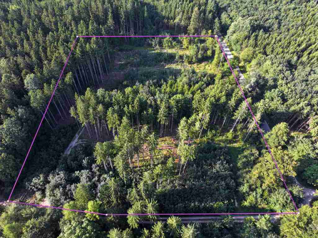 DJI_20250812180916_0004_D-bea