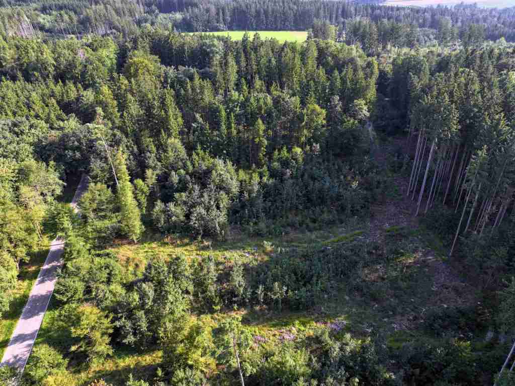 DJI_20250812181241_0013_D