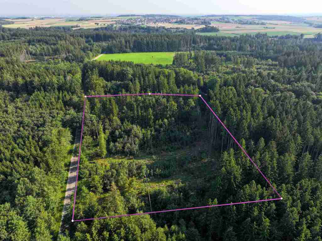 DJI_20250812181338_0016_D-bea