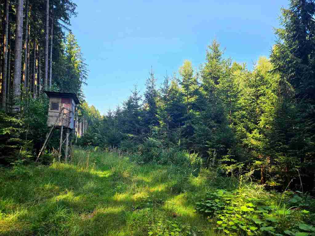 waldverkauf-augsburg_09