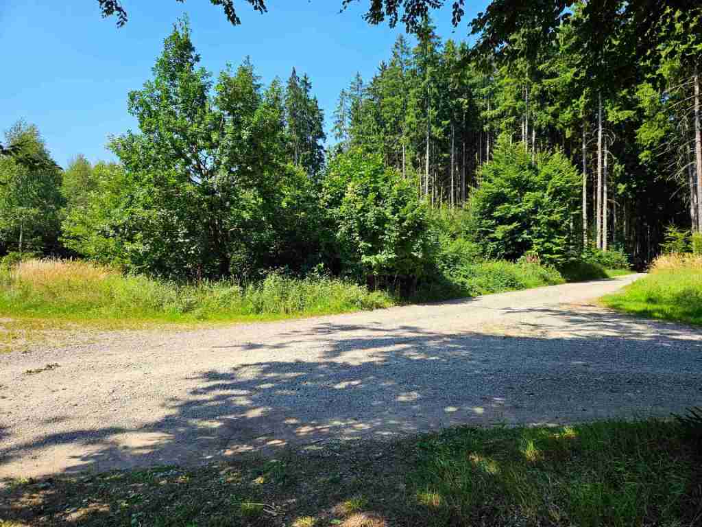 waldverkauf-augsburg_32