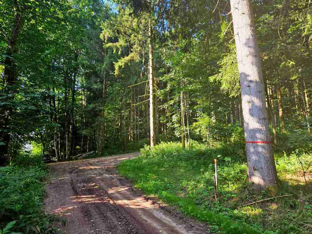 waldverkauf-krumbach_07