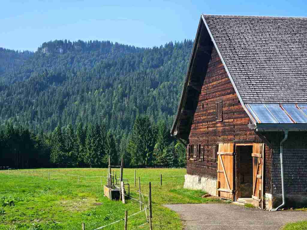 Alpe_Außenbereich_04