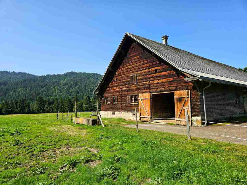 Alpe_Außenbereich_07