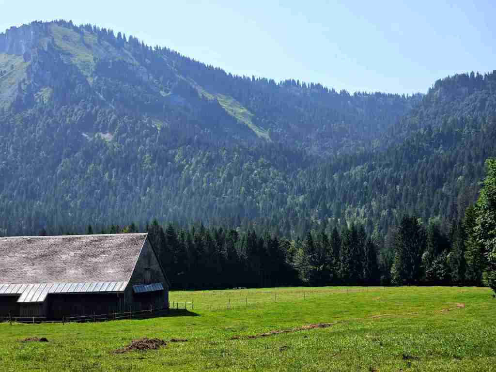 Alpe_Außenbereich_19