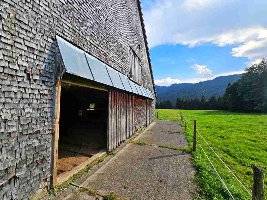 Alpe_Außenbereich_22