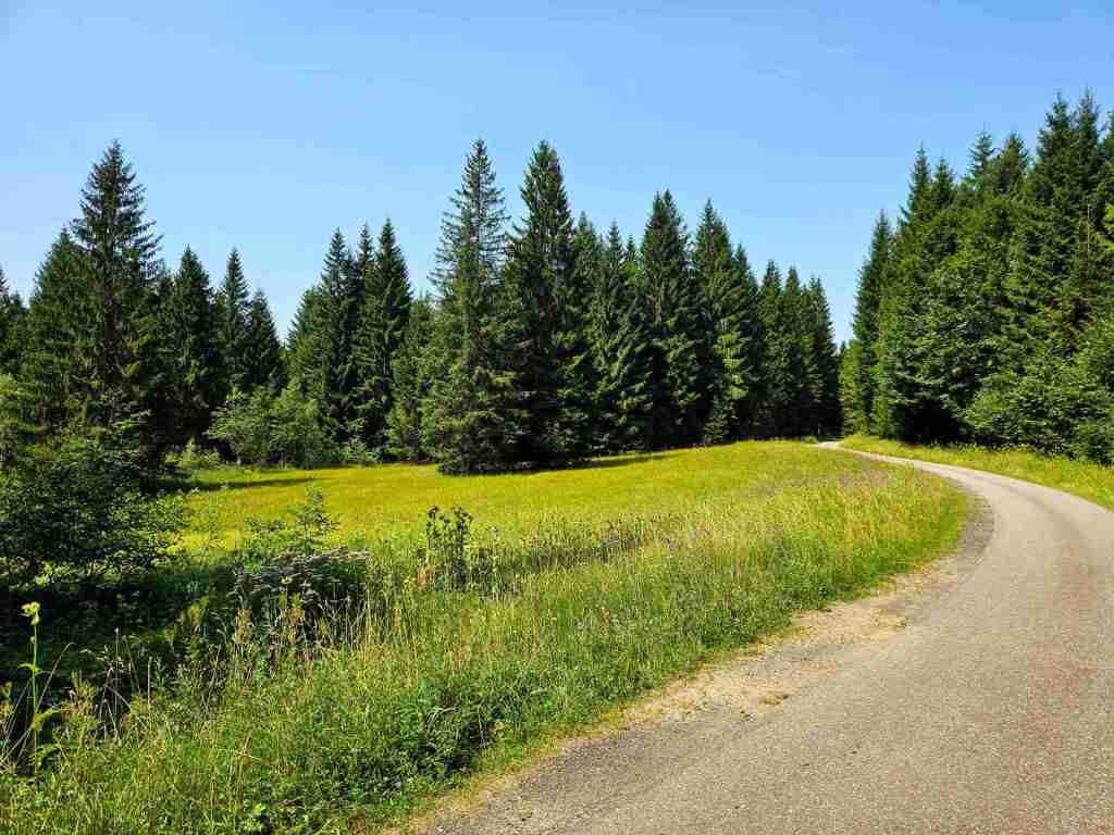 Alpe_Außenbereich_24