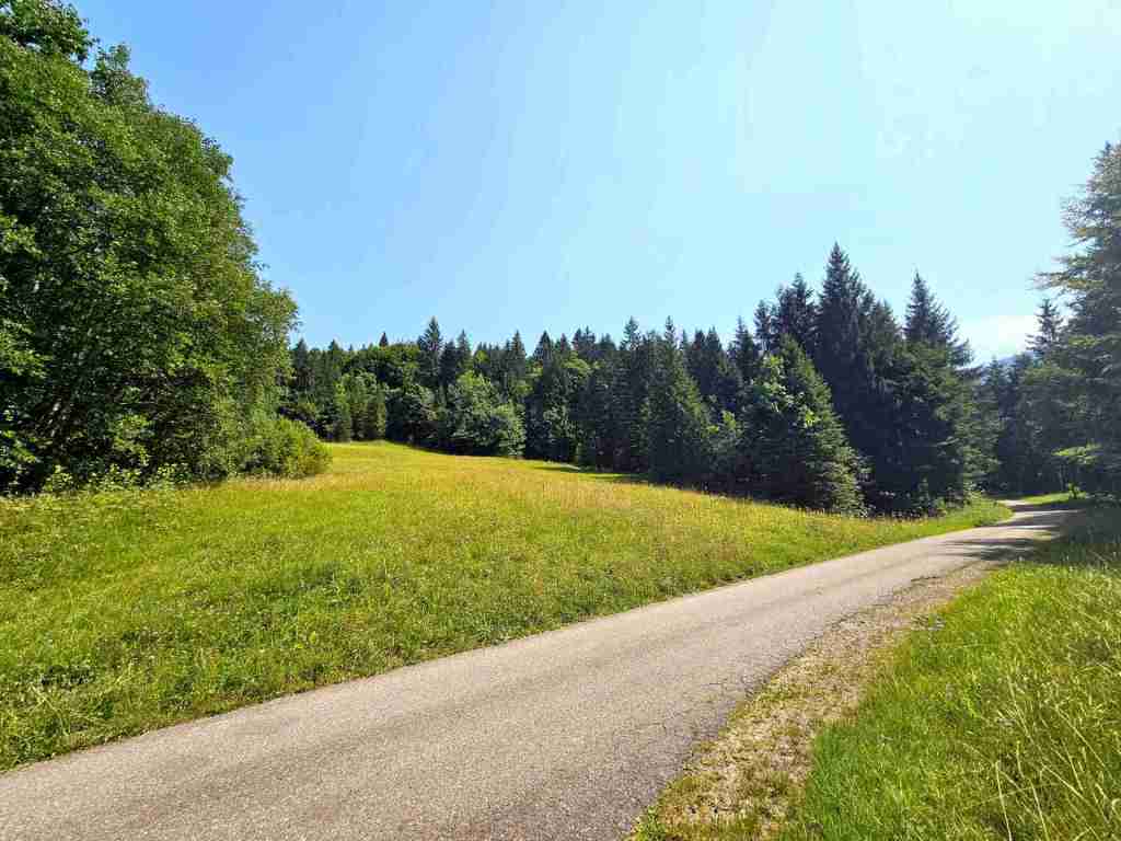 Alpe_Außenbereich_25