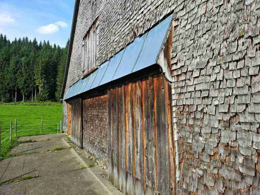 Alpe_Außenbereich_28