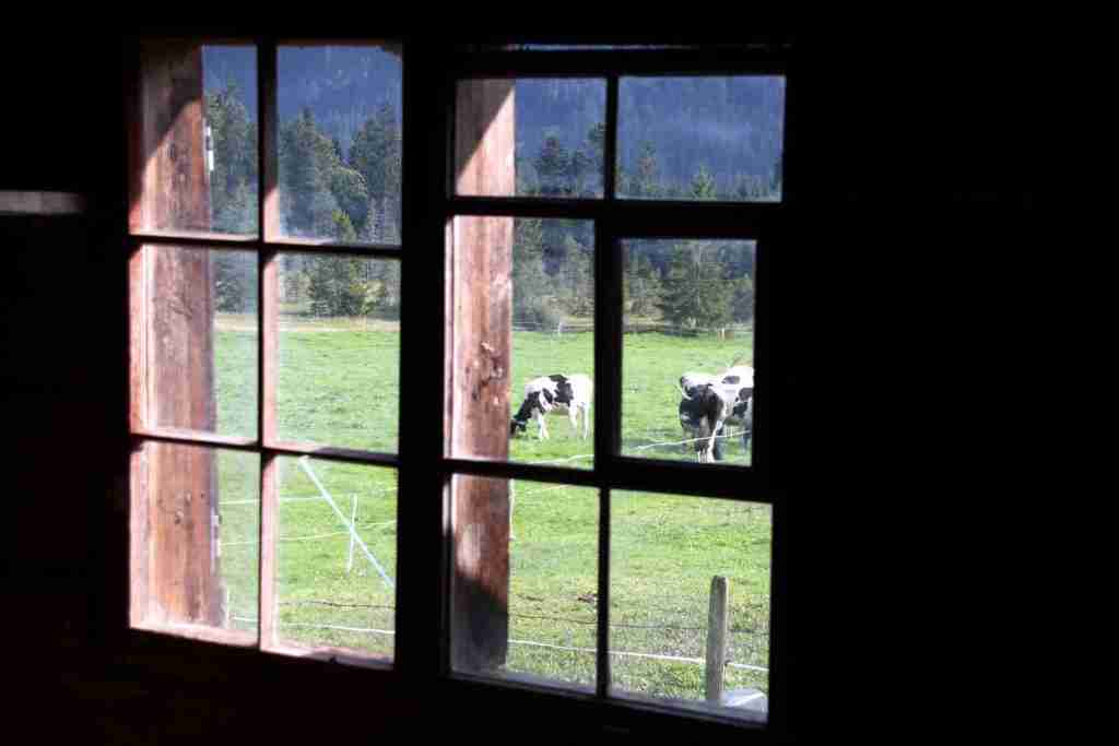 Alpe_Innenbereich_30