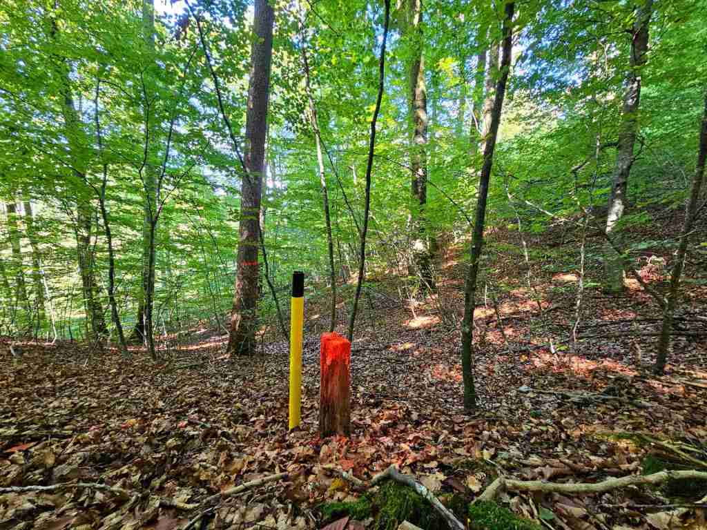 waldverkauf-baierbrunn_08