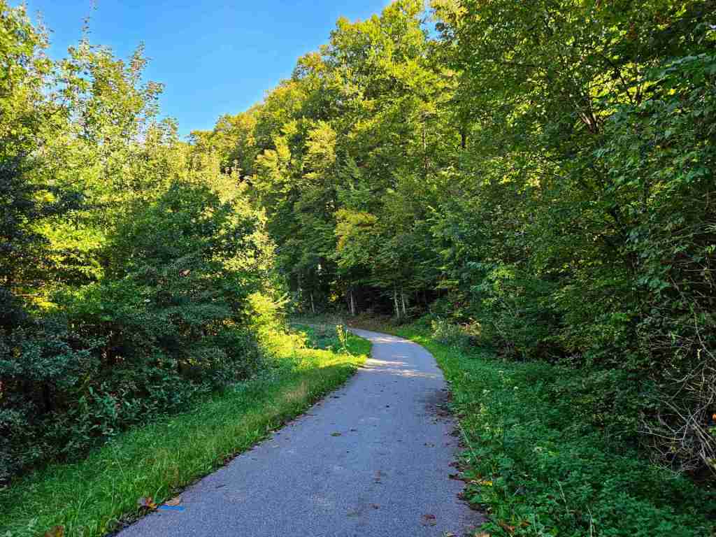 waldverkauf-baierbrunn_20