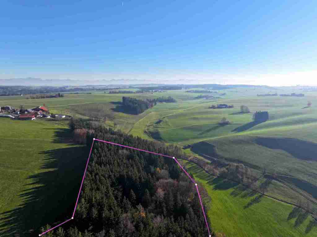 DJI_20251107145138_0234_D