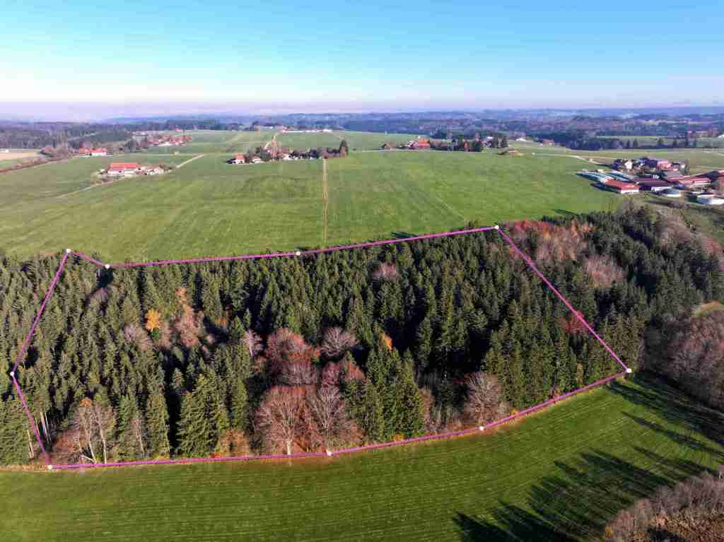 DJI_20251107145402_0242_D