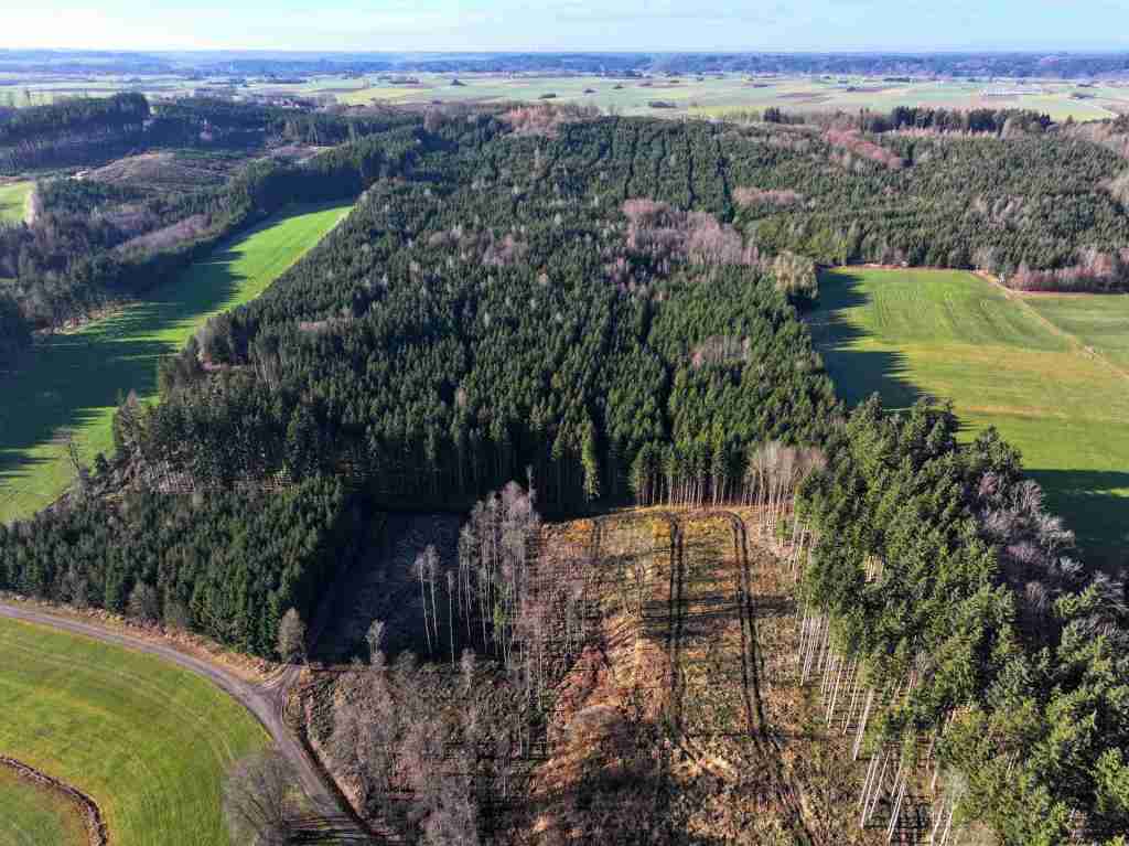 DJI_20251210111716_0271_D