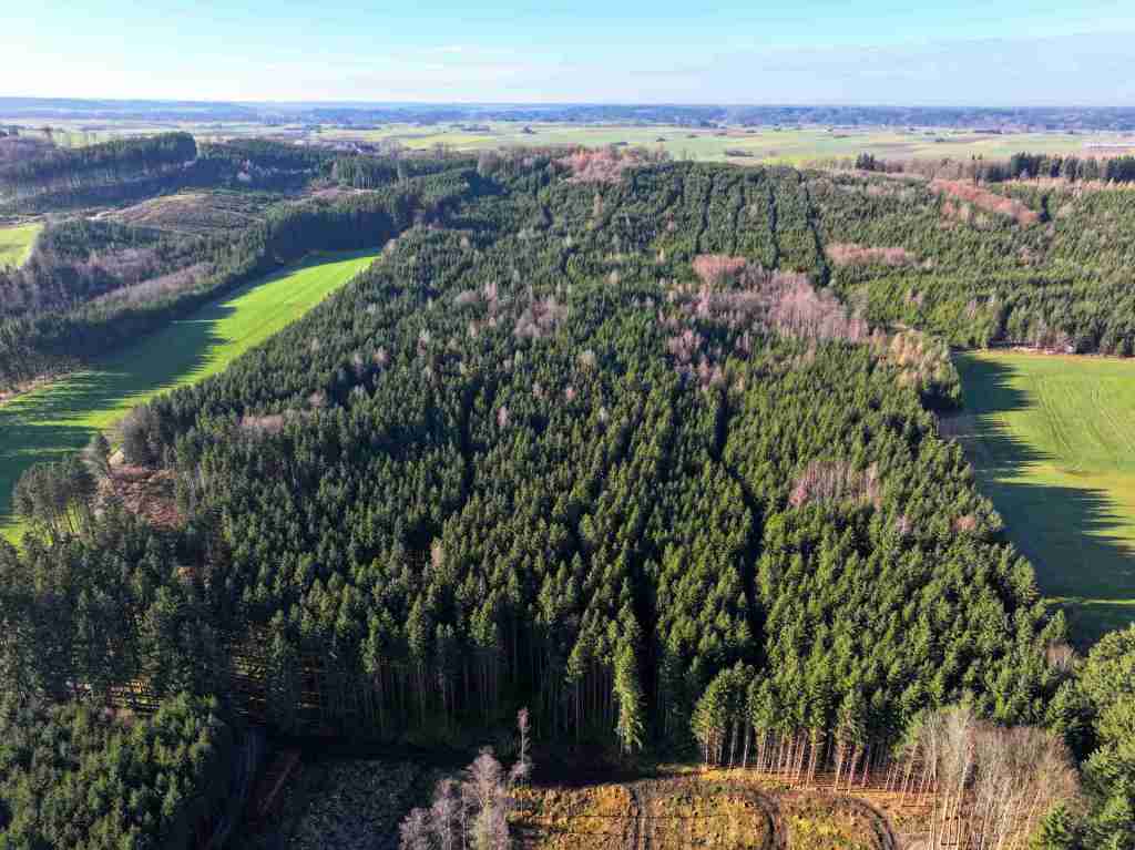 DJI_20251210111759_0274_D