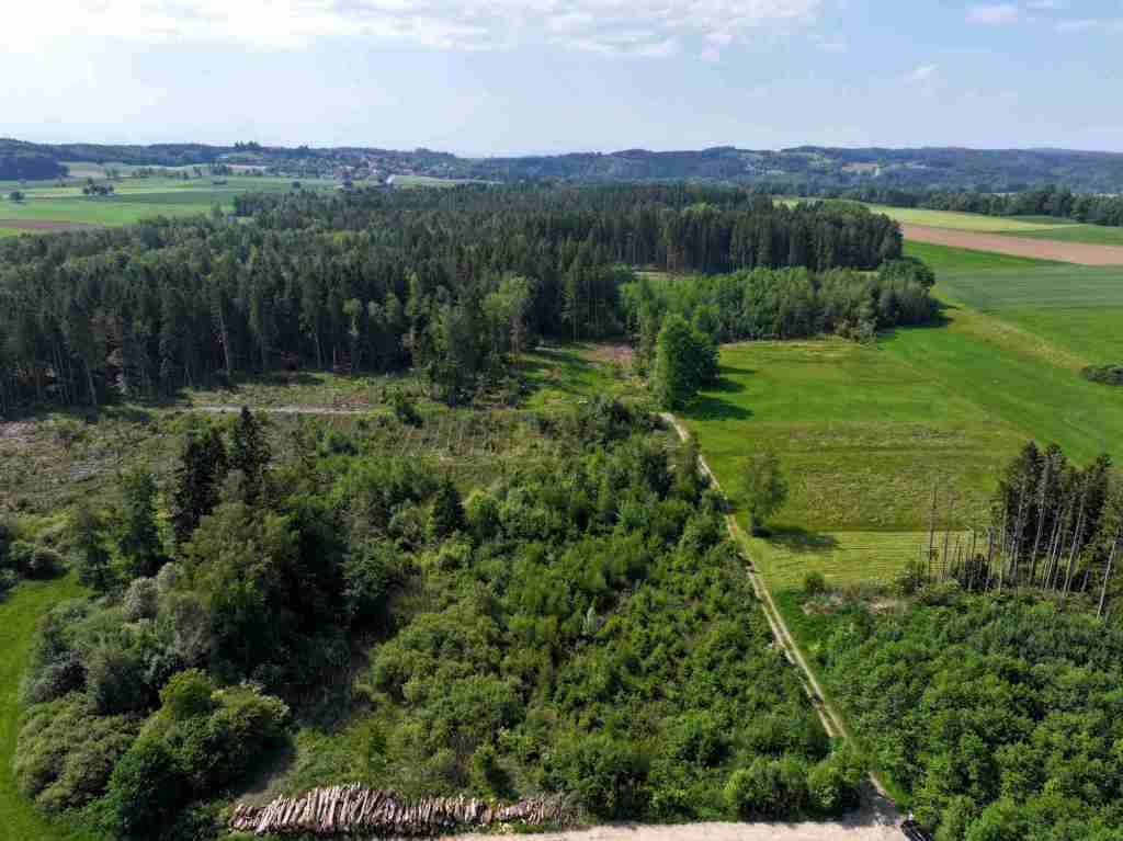 Waldverkauf-Ravensburg_33