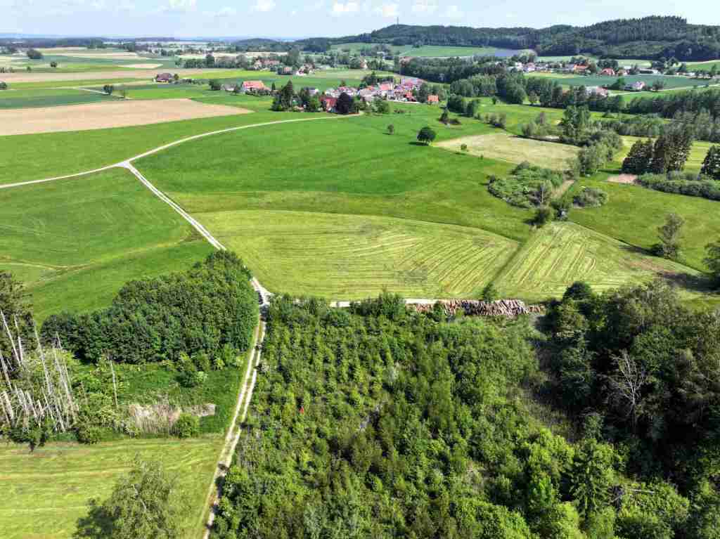 Waldverkauf-Ravensburg_36