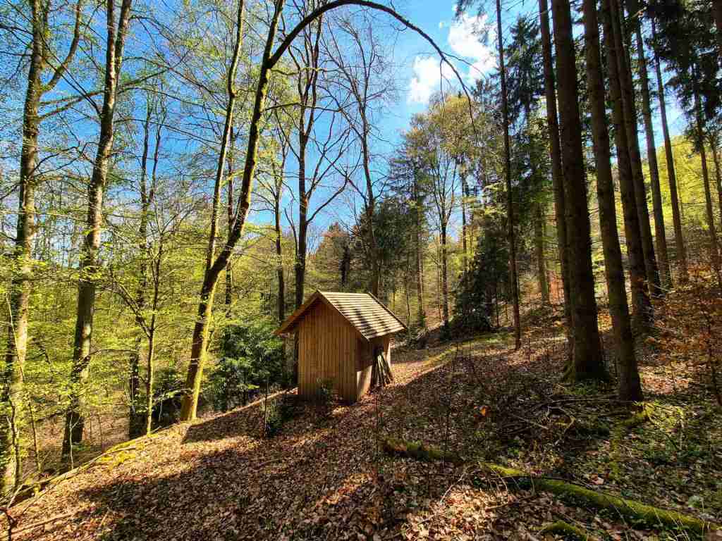 Waldverkauf-Mainhardt_06