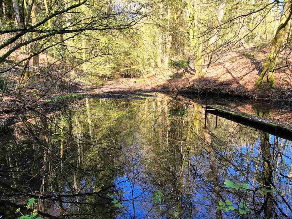 Waldverkauf-Mainhardt_07