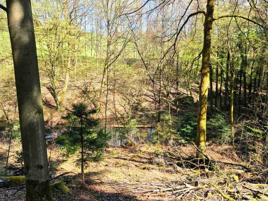 Waldverkauf-Mainhardt_24