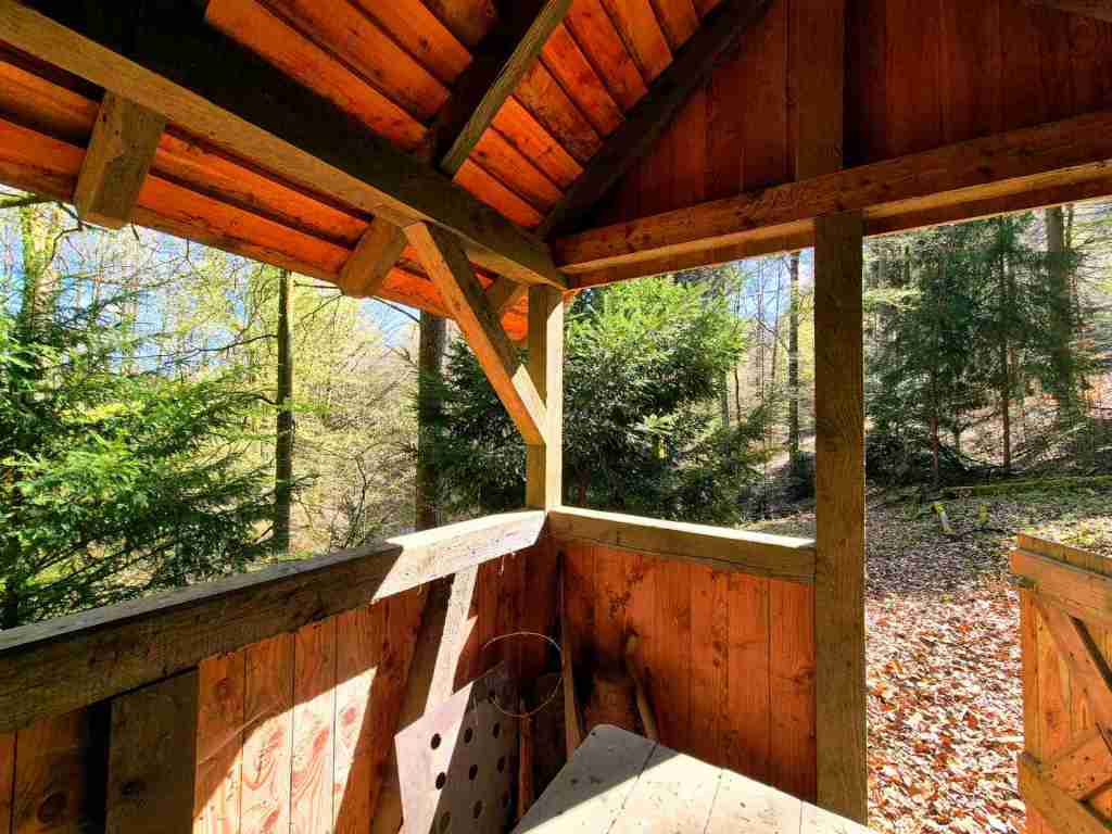 Waldverkauf-Mainhardt_26
