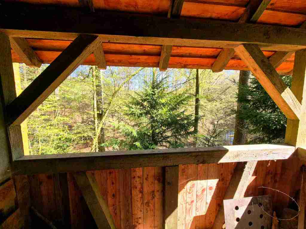 Waldverkauf-Mainhardt_27