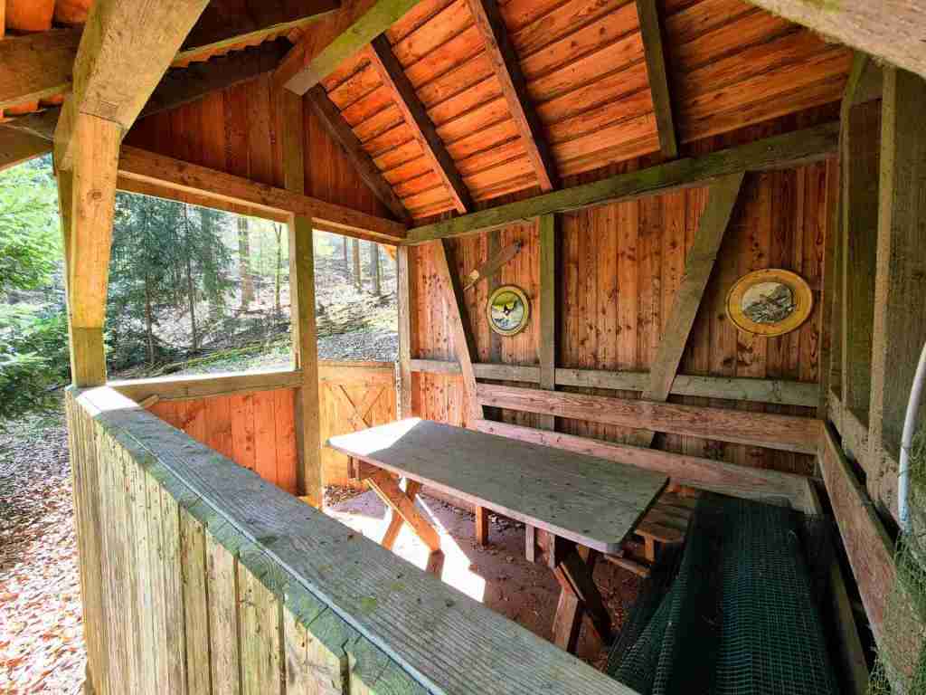 Waldverkauf-Mainhardt_28