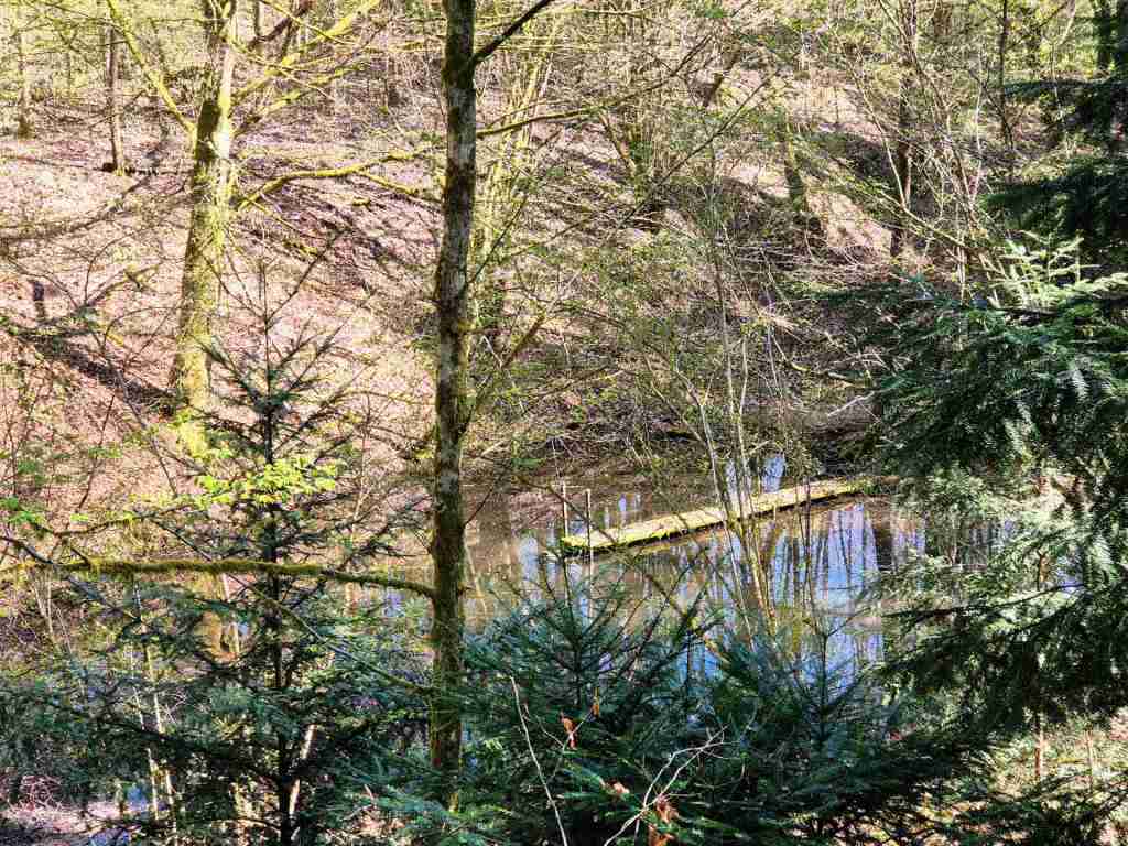 Waldverkauf-Mainhardt_29
