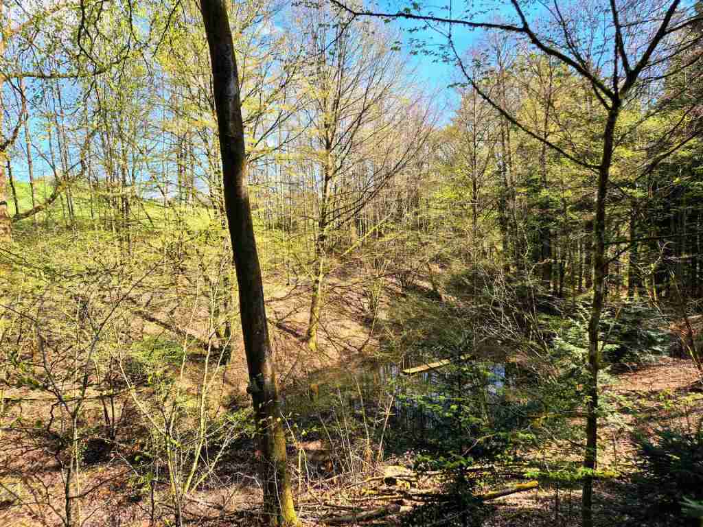 Waldverkauf-Mainhardt_30