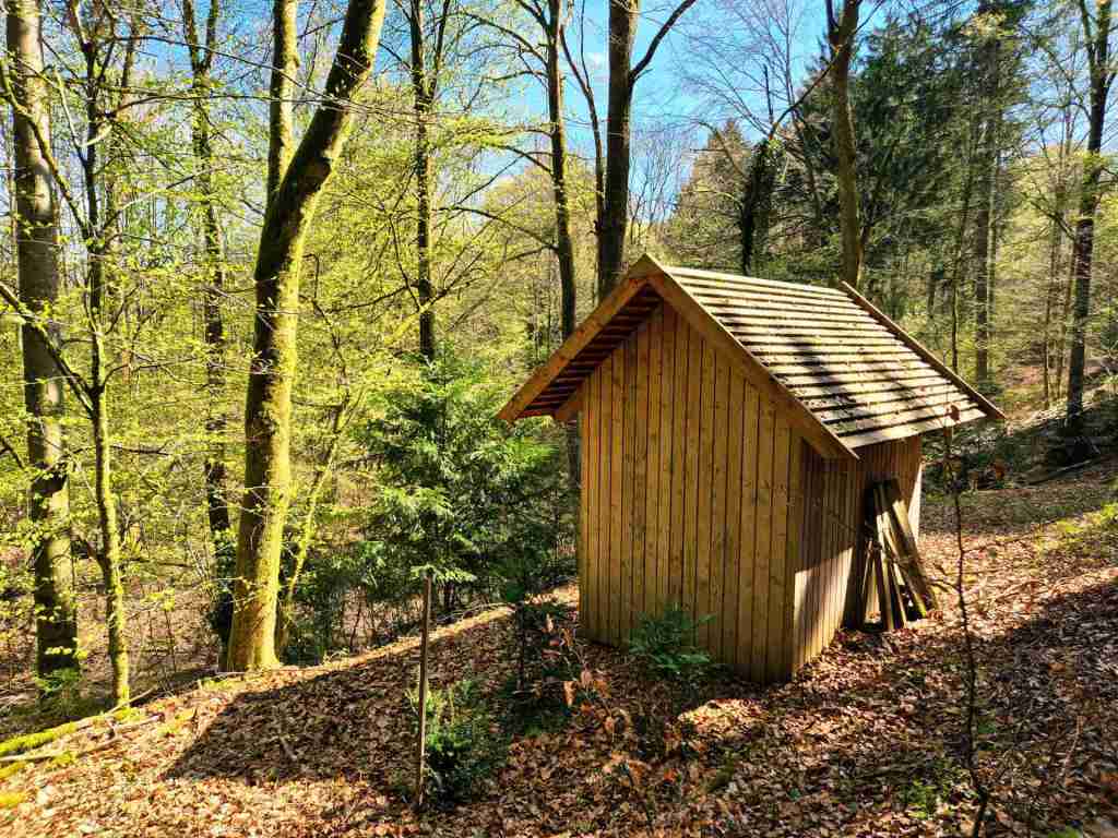 Waldverkauf-Mainhardt_32