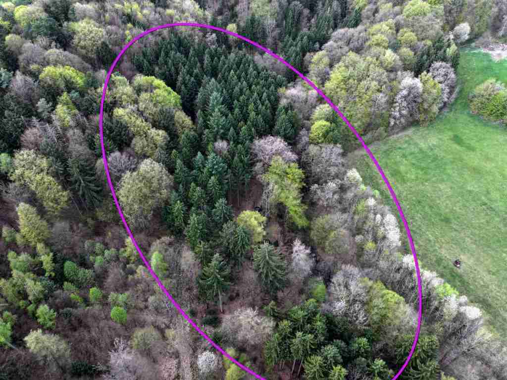 Waldverkauf-Mainhardt_39