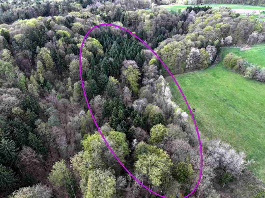 Waldverkauf-Mainhardt_40
