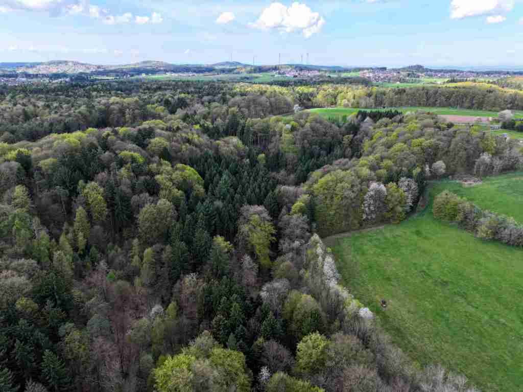 Waldverkauf-Mainhardt_41