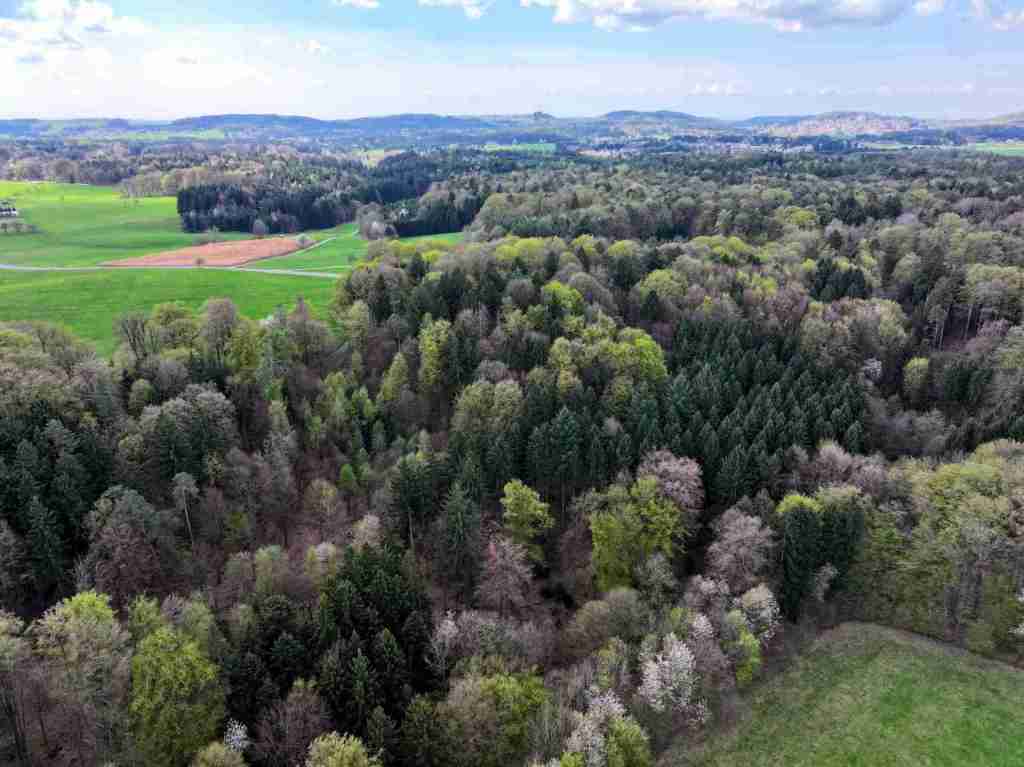 Waldverkauf-Mainhardt_42