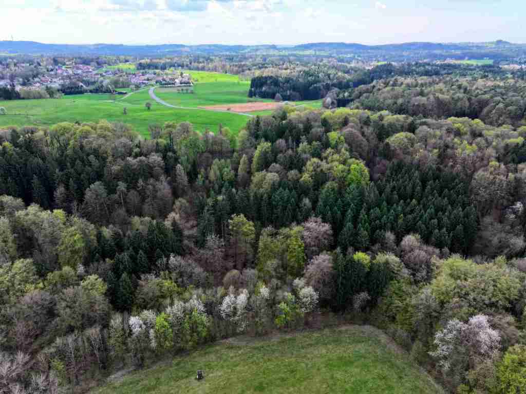 Waldverkauf-Mainhardt_43